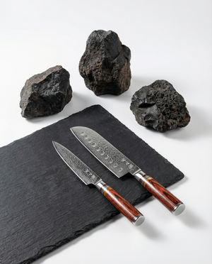 Essence 2-Piece Knife Set – Takeshi Series
