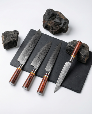 Evolution 4-Piece Knife Set – Takeshi Series