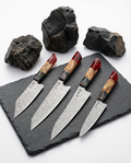 Evolution 4-Piece Knife Set – Kyoto Series