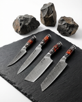 Evolution 4-Piece Knife Set – Kage Series