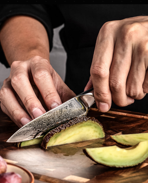 Ascension 5-Piece Knife Set - Akira Series