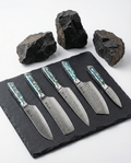 Ascension 5-Piece Knife Set - Akira Series