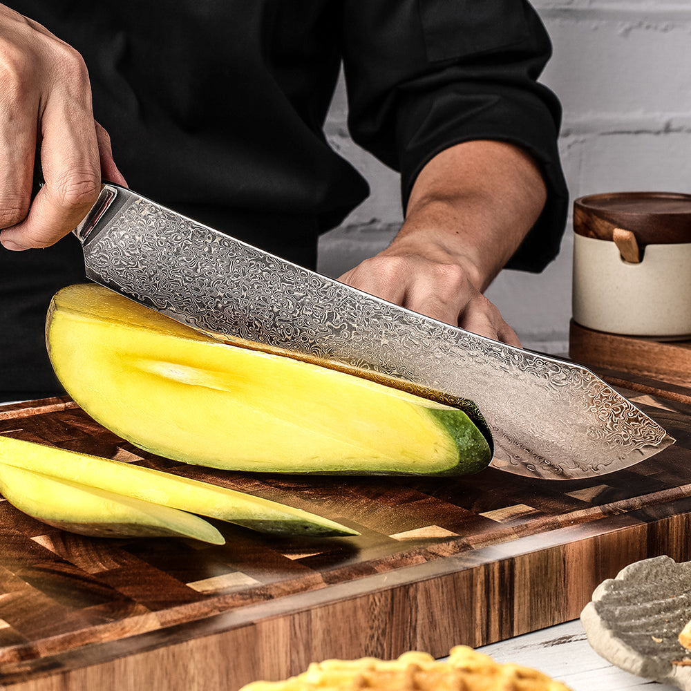 Gyuto Knife - Akira Series