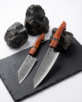 Essence 2-Piece Knife Set – Renshu Series