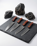Evolution 4-Piece Knife Set – Renshu Series