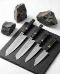 Evolution 4-Piece Knife Set – Sakuragi Series
