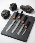 Evolution 4-Piece Knife Set – Kiba Series