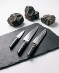 Evolution 3-Piece Knife Set – Miyamoto Series
