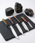 Evolution 4-Piece Knife Set – Shinrai Series
