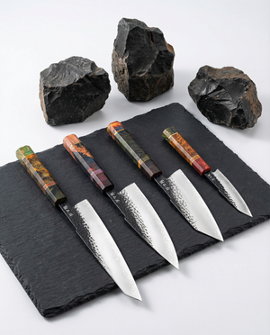 Evolution 4-Piece Knife Set – Shinrai Series