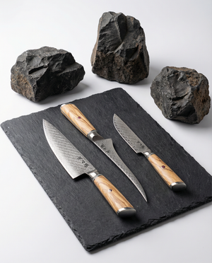 Evolution 3-Piece Knife Set – Takumi Series