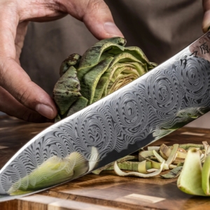 Gyuto Knife - Aoyama Series