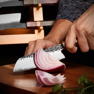 Evolution 4-Piece Knife Set – Shinrai Series